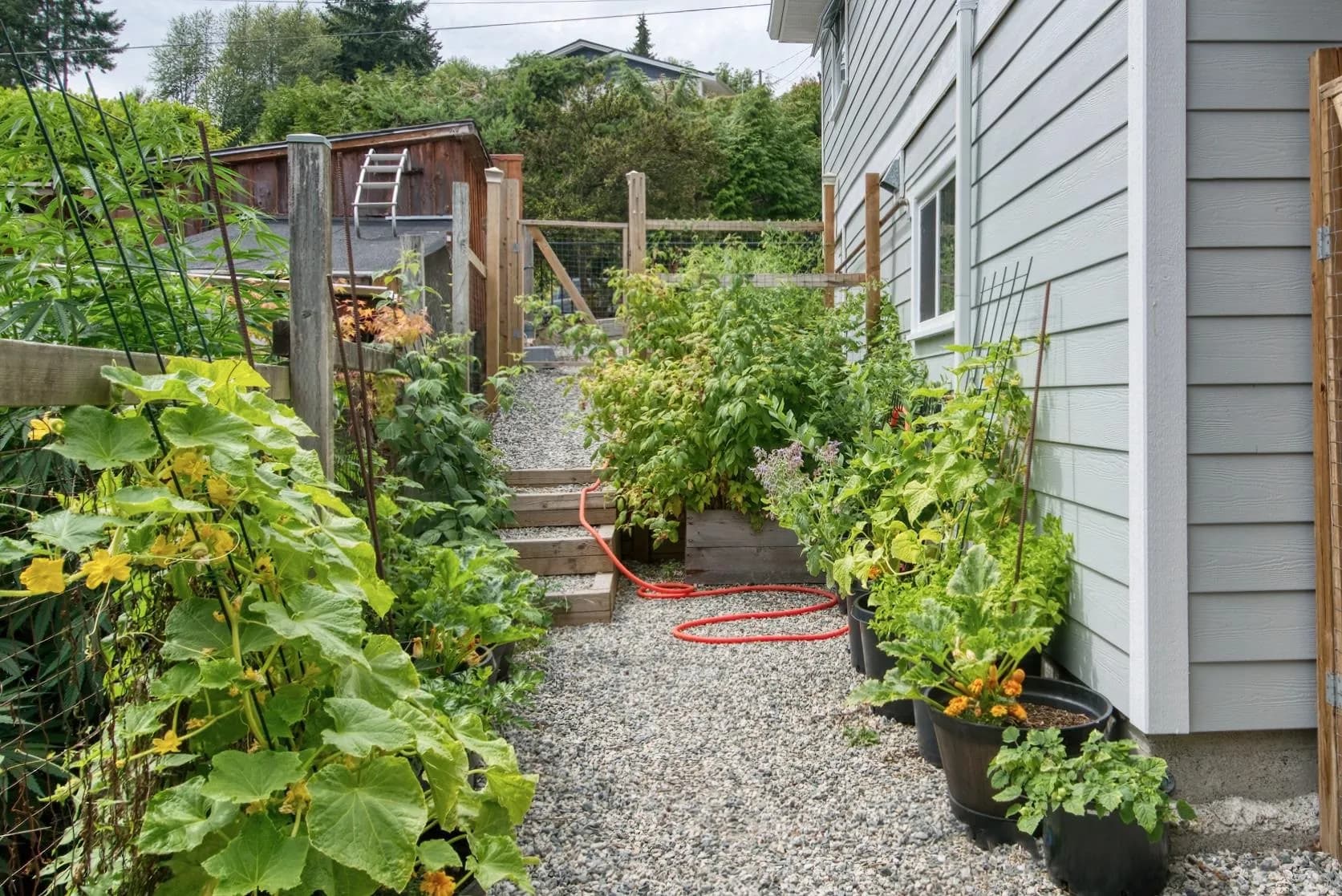 798 Fisher Road, Gibsons, BC V0N 1V1 — image 7