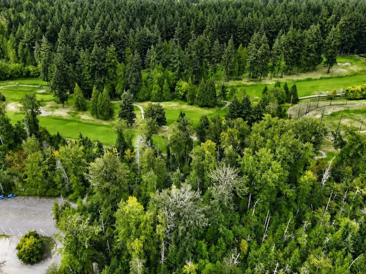 303 5410 Shortcut Road, Vancouver, BC V6T 0C8 — image 35
