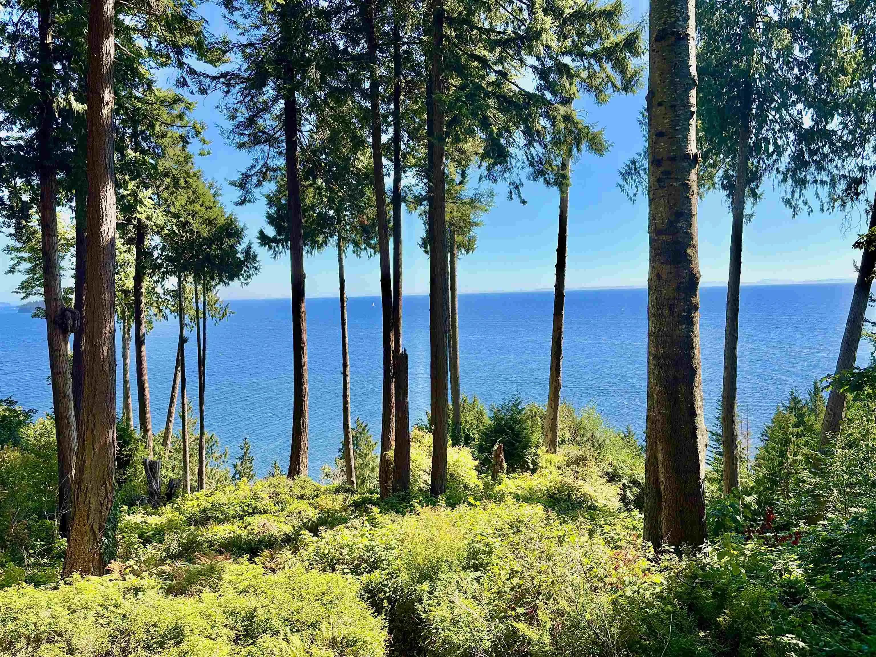 61/lot3 Larson Road, Gibsons, BC V0N 1V3 — image 1
