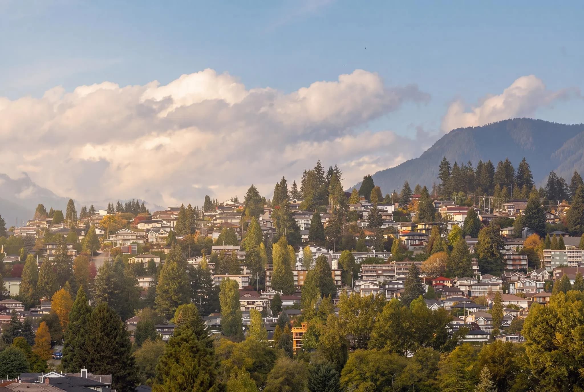 1303 2060 Bellwood Avenue, Burnaby, BC V5B 4V2 — image 29