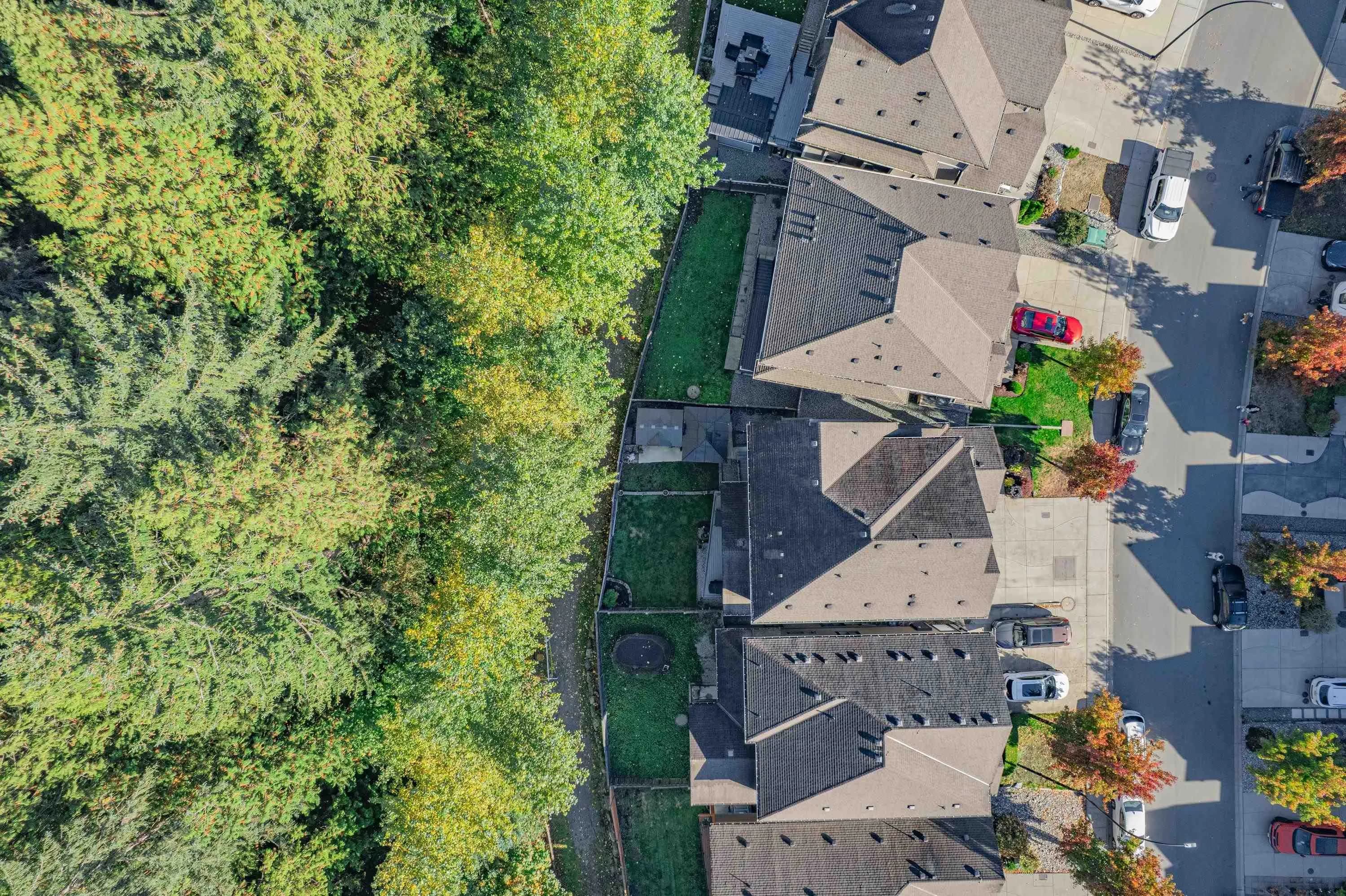 11065 Buckerfield Drive, Maple Ridge, BC V2W 1Z8 — image 37