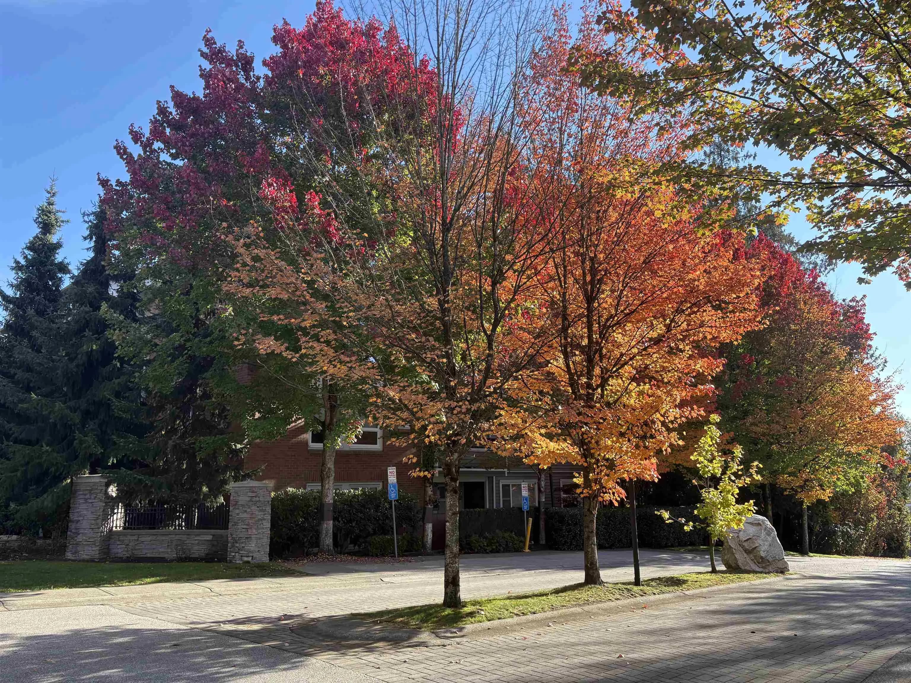 106 6888 Southpoint Drive, Burnaby, BC V3N 5E3 — image 11