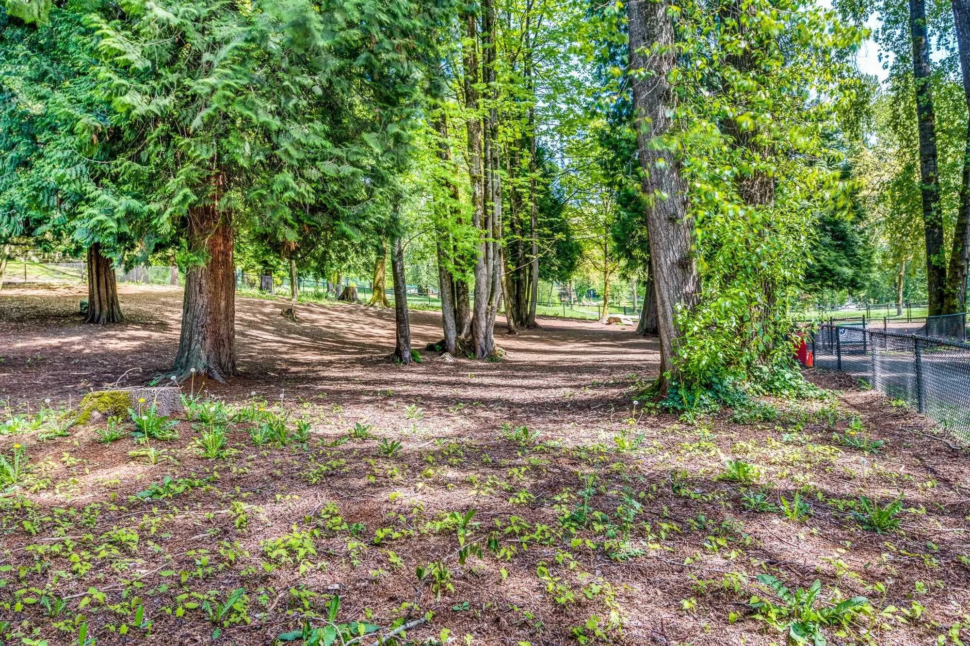 106 9233 Government Street, Burnaby, BC V3N 0A3 — image 31