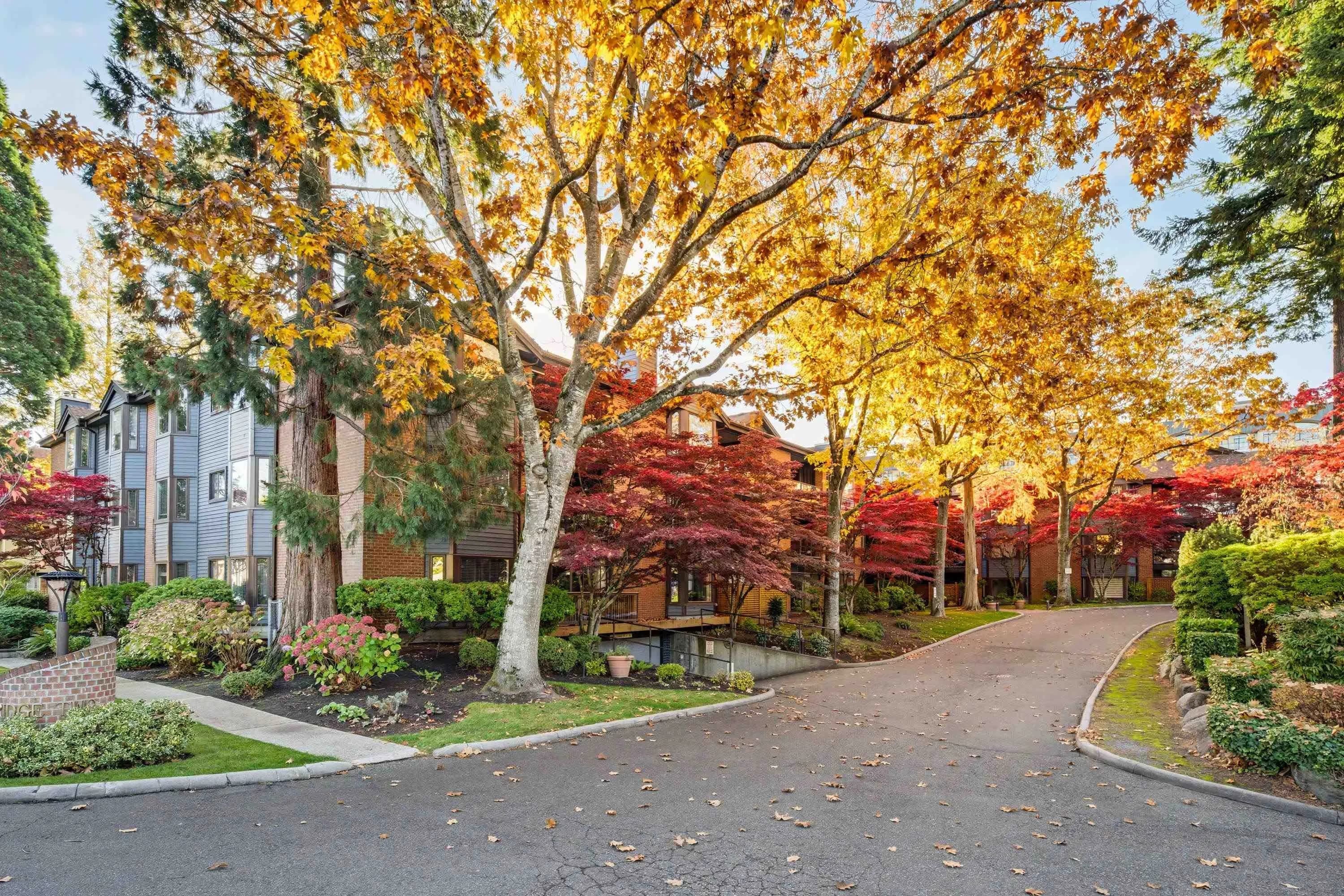 206 15300 17 Avenue, Surrey, BC V4A 8Y6 — image 1