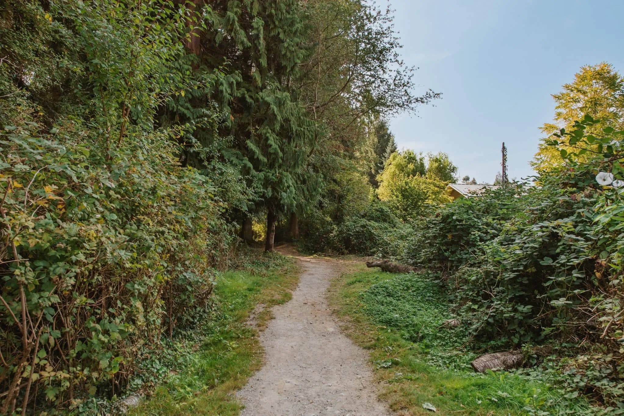 320 Cochrane Road, Gibsons, BC V0N 1V8 — image 36